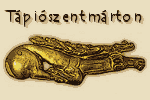 tapioszentmarton